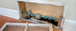 Spring Cleaning for Your Air Ducts: Breathe New Life Into Your Middle Georgia Home